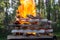 Burning wood, stacked woodpile, against the background of the forest