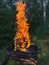 Burning wood, stacked woodpile, against the background of the forest