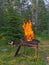 Burning wood, stacked woodpile, against the background of the forest