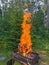 Burning wood, stacked woodpile, against the background of the forest