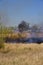 Burning yellowed dry grass against background houses.Sultry arid fire hazardous weather