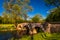 Burnside Bridge, on a beautiful spring day at Antietam National Battlefield