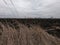 Burnt field. Dry steppe grass. Place of environmental disaster