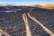 Burnt grain stubble field showing tractor tracks