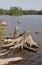 Burnt Island Lake Driftwood