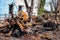 Burnt military machinery, War actions aftermath, Ukraine and Donbass conflict