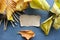 Burnt natural paper for background surrounded by yellow autumn leaves