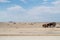 Burnt Out and Flipped Over Car Wreck in the Desert in Namibia