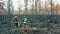 Burnt-out forest with male firefighters crossing it