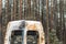 A burnt-out minivan stands near the forest in winter