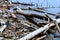 Burnt and piece of various driftwood washing into shore