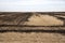 Burnt stubble from farmland in South Africa