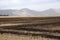 Burnt stubble from farmland in South Africa