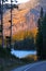 Burnt trees in Yellowstone