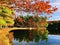 Burr pond state park beautiful autumn lake views with orange oak trees