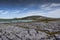 The Burren in its summer coat