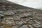 The Burren Landscape, Co. Clare - Ireland