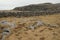 The Burren Landscape, Co. Clare - Ireland