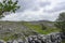 Burren National Park, Co. Clare, Ireland