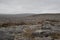 Burren National Park, Country Clare, Ireland