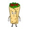 Burrito cartoon pop art vector illustration