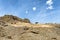 Burro looks down from top of Basalt Hillside