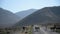 Burros in Death Valley National Park Herd of Wild Donkey California USA