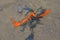 Burst balloon litter on beach