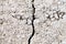 burst concrete, natural disasters, earthquake, cracked floor texture