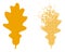 Burst Pixel and Original Oak Leaf Icon