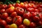 Bursting drawer a variety of ripe, colorful tomatoes in abundance