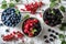 Bursting with freshness: A trio of bowls holds an assortment of vibrant berries on a white wooden surface