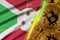 Burundi flag and cryptocurrency growing trend with many golden bitcoins