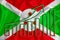 Burundi flag with a graph of price increases for the country`s currency. Rising prices for shares of companies and