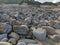 Burwood Beach NSW Australia - severe erosion from east cost low pressure storm event