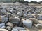 Burwood Beach NSW Australia - severe erosion from east cost low pressure storm event