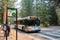 Bus shuttling tourists between various interest point located in Yosemite National Park