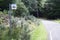 Bus stop sign in rural countryside location uk