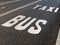 Bus taxi lane text on asphalt closeup