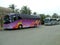 Buses. coaches. buses or coaches parked in a car park