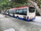 Buses are parked along the roadside under the shady trees.  Clean street view.