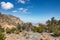 Bush along the cliff of Jabal Shams near Nizwa in Oman