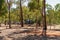 Bush Campsite At Australian Outback Tourist Resort
