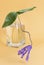 Bush clematis flower in a glass vase on a colored background.