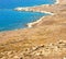 bush in delos greece the historycal acropolis and old ruin sit