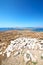 bush in delos greece historycal acropolis and old ruin site