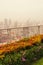 Bush and fence in garden on rooftop of high-rise building in poor weather