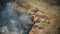 Bush Fire And Smoke. Wild Open Fire Destroys Grass. Ecological Problem Air Pollution. 4K Aerial View Spring Dry Grass