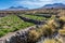 Bush, grass, mountain and stream at Atacama Desert, Chile