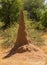 Bush landscape with a large termite mound, Namibia